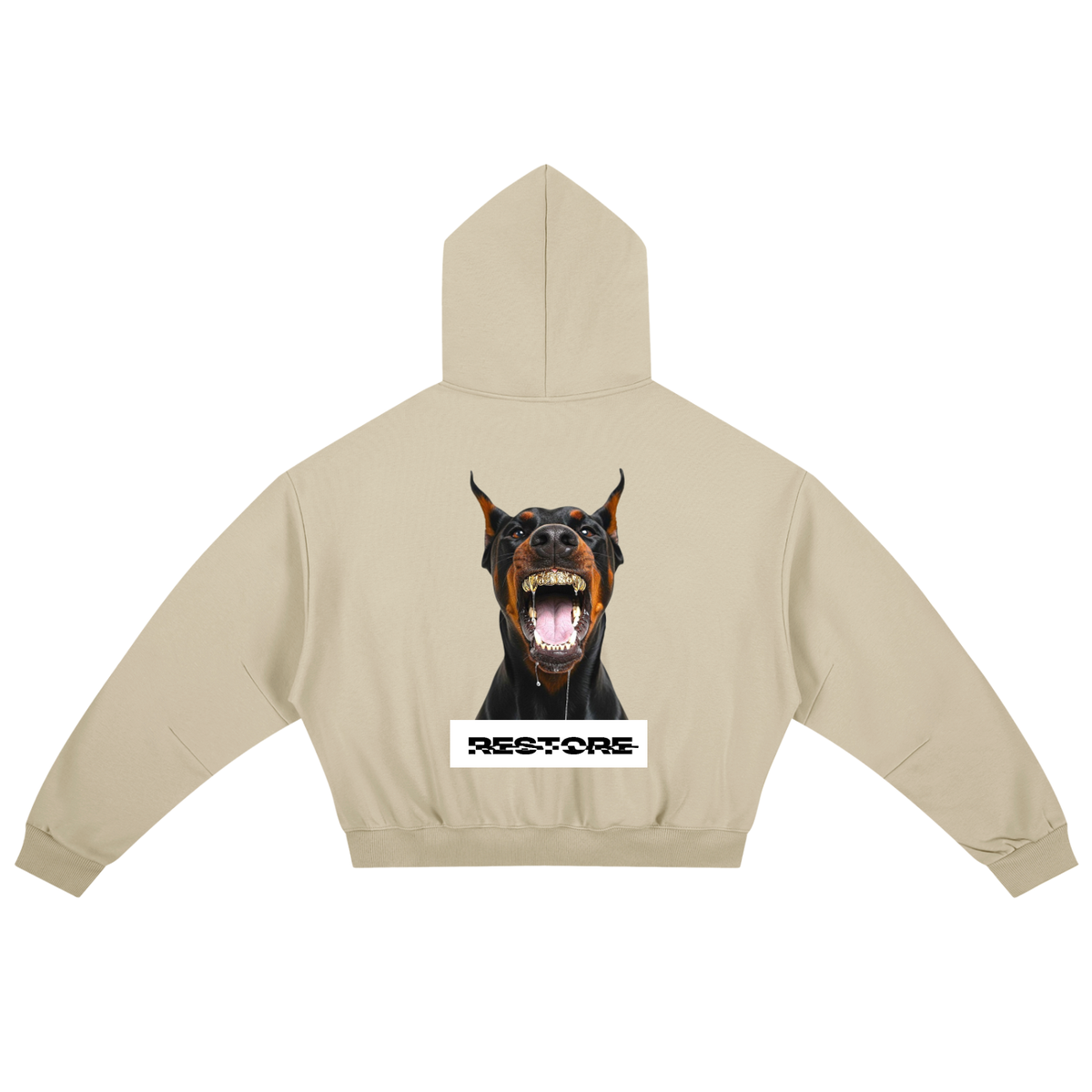 Essential Boxy Darted Sleeve Hoodie RESTORE -apricrot