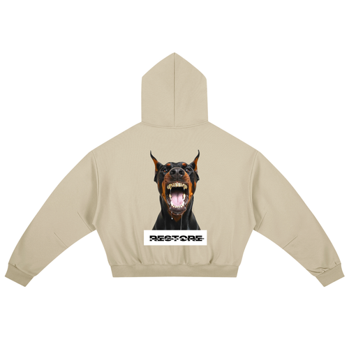 Essential Boxy Darted Sleeve Hoodie RESTORE -apricrot